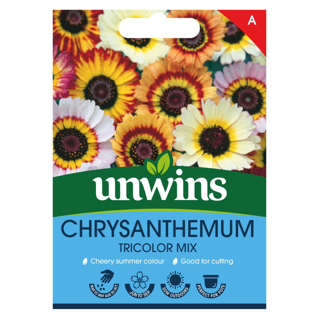 Unwins Chrysanthemum Tricolor Mixed Seeds 5051618010535 2